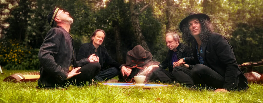 Band Gong in a meadow