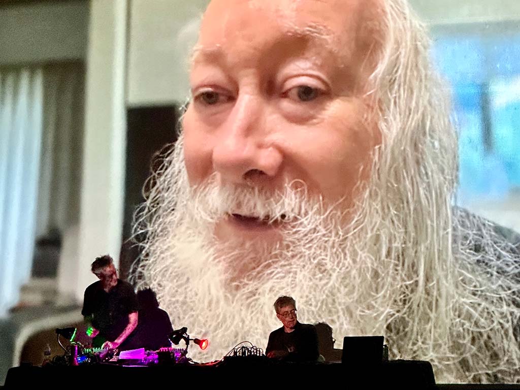 Negativland perfomance